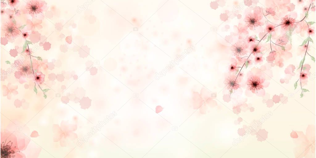 Sakura petals falling down. Beautiful  Pink background with branch of cherry blossom.
