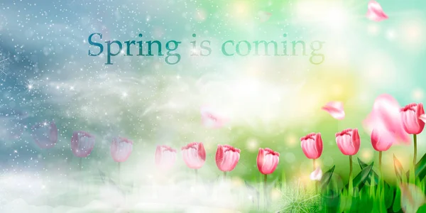 Winter spring background Stock Photos, Royalty Free Winter spring ...