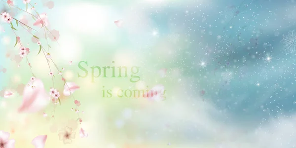 A primavera está a chegar. primavera grama e flores do prado — Vetor de Stock