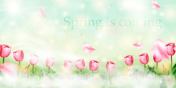 Le printemps arrive — Image vectorielle