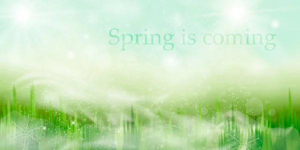 Le printemps arrive — Image vectorielle