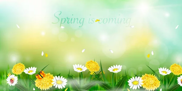 Spring is coming — Stock Vector