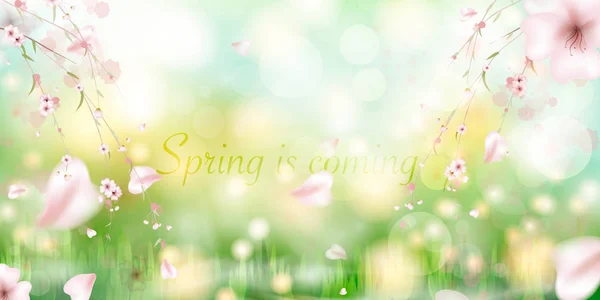 A primavera está a chegar. primavera grama e flores do prado . — Vetor de Stock