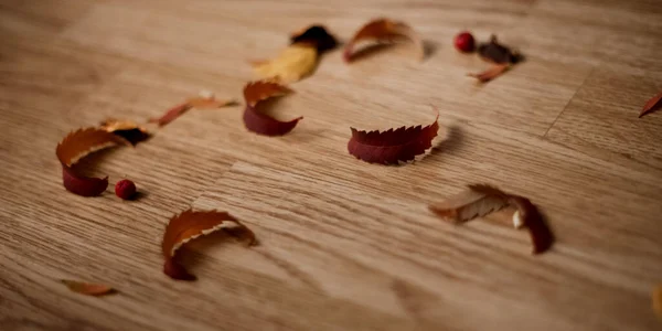 Rowan sobre fondo de madera Marco hecho de hojas secas de otoño . — Foto de Stock