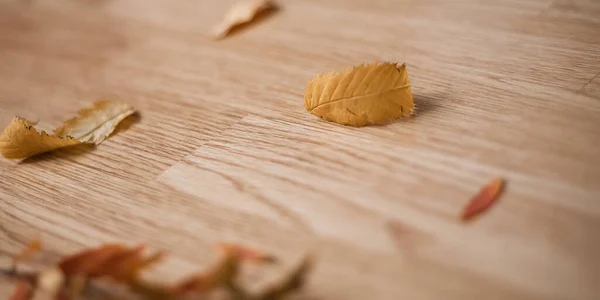 Rowan op houten ondergrond Frame gemaakt van herfst gedroogde bladeren. — Stockfoto