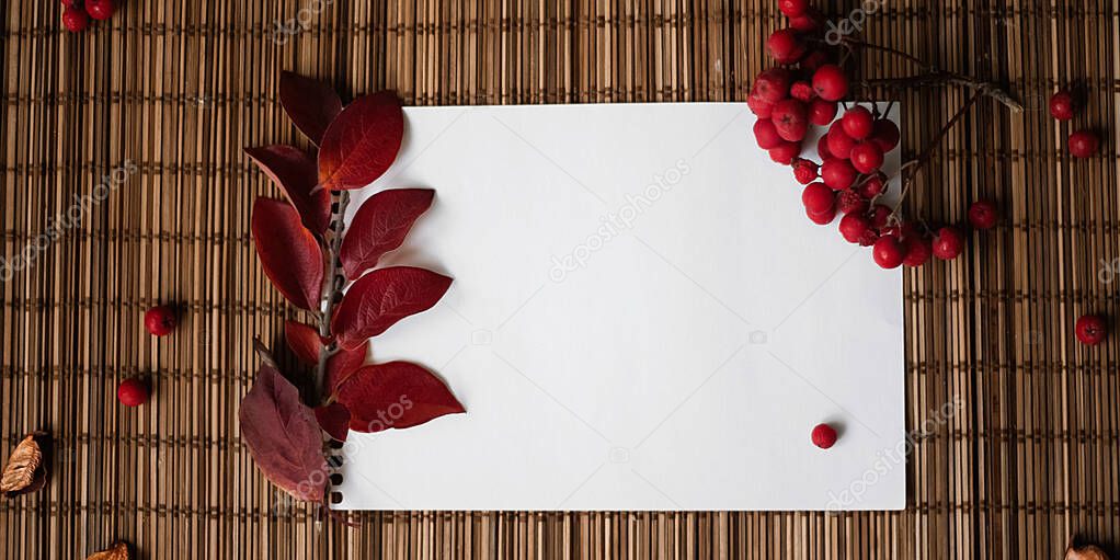 Paper blank, dried flowers and leaves and berries on wooden background