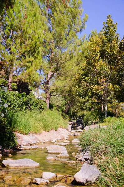 Vackra landskapet längs Creek — Stockfoto