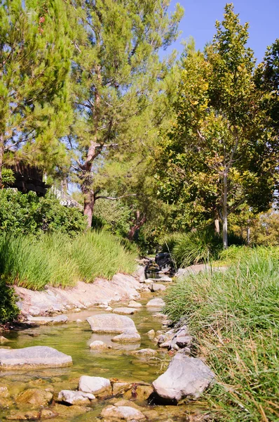 Vackra landskapet längs Creek — Stockfoto