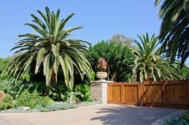 Ev yeşil çim manikürlü frontyard Bahçe banliyö konut mahalle ile