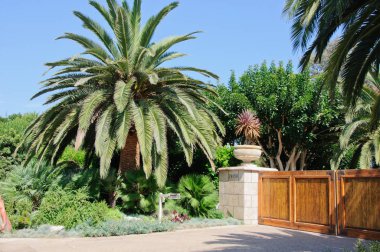 Ev yeşil çim manikürlü frontyard Bahçe banliyö konut mahalle ile