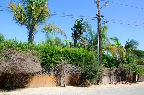 Ev yeşil çim manikürlü frontyard Bahçe banliyö konut mahalle ile
