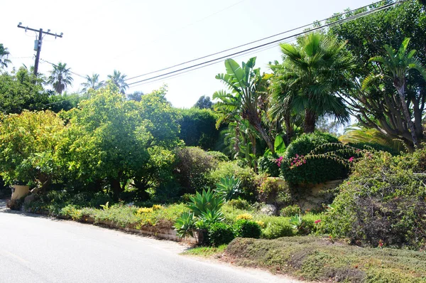 Ev yeşil çim manikürlü frontyard Bahçe banliyö konut mahalle ile — Stok fotoğraf