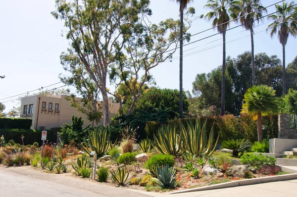 Casa con césped verde cuidado jardín en el barrio residencial suburbano — Foto de Stock