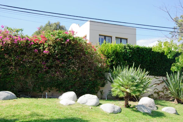 House with green lawn manicured frontyard garden in suburban residential neighborhood — Stock Photo, Image