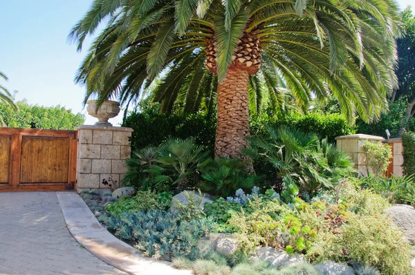 Maison avec pelouse verte jardin devant soigné dans un quartier résidentiel de banlieue Images De Stock Libres De Droits