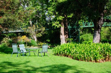 Yeşil yaz arka bahçe çim, Masa ve sandalyeler ile