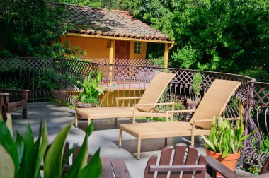 Çimenli ve geçitli yeşil yaz bahçesi