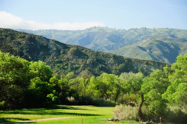 Pohled na úbočí kopce v severní Kalifornii. Slunce namalovalo kulaté stromy s nádhernými osvětlenými okraji v této zelené krajině. — Stock fotografie