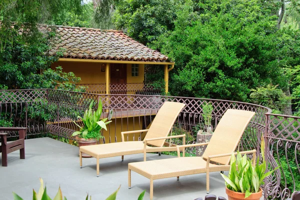 Çimenli ve geçitli yeşil yaz bahçesi