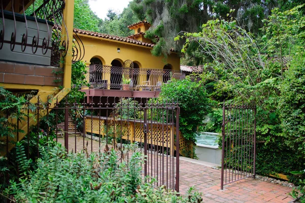 Çimenli ve geçitli yeşil yaz bahçesi