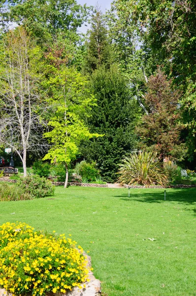 Giardino verde del cortile estivo con erba dopo pioggia e sole — Foto Stock