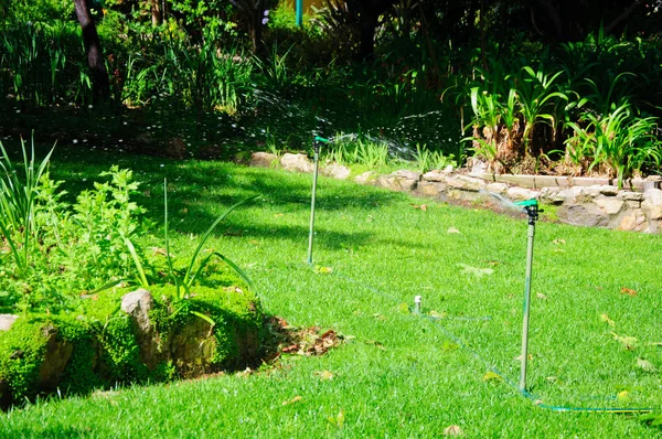 Grüner Sommergarten mit Gras, Tisch und Stühlen — Stockfoto