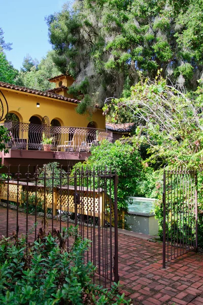 Çimenli ve geçitli yeşil yaz bahçesi