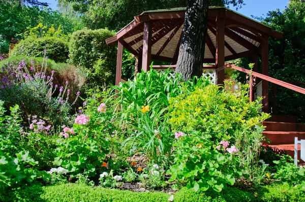 Πράσινο κήπο αυλή καλοκαίρι με γρασίδι και passway — Φωτογραφία Αρχείου