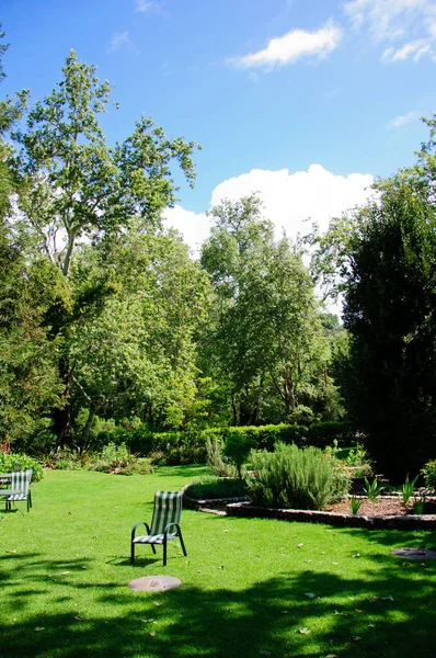 Jardim verde do quintal do verão com grama, mesa e cadeiras — Fotografia de Stock