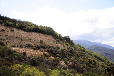 Kaliforniya 'nın ortaçağ köyünde eski bir ev.