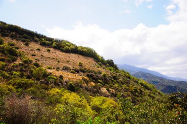 Kaliforniya 'nın ortaçağ köyünde eski bir ev.