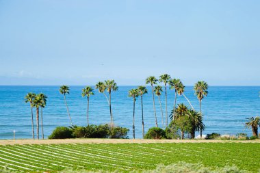 Amazing view by the ocean in sunny California clipart