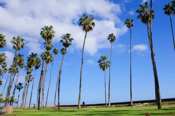 Incredibile vista sull'oceano nella soleggiata California — Foto Stock