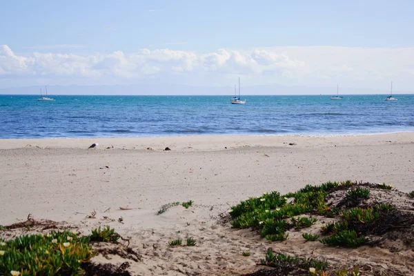 Amazing view by the ocean in sunny California — Stock Photo, Image