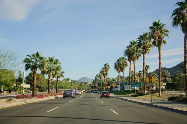 一排排棕榈树、群山、鲜花、蓝天和开阔的道路，加利福尼亚棕榈泉. — 图库照片