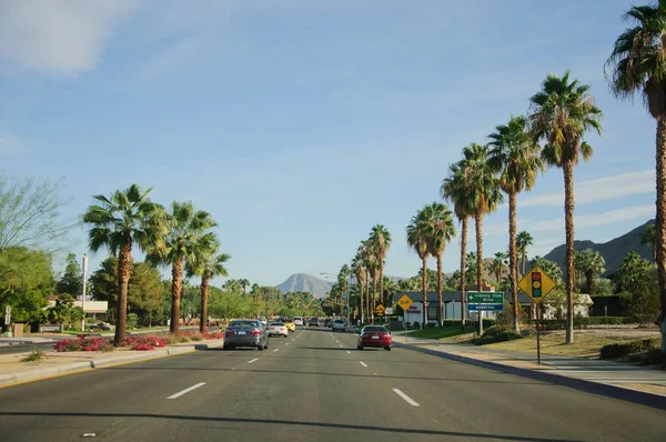 Rader av palmer, berg, blommor, blå himmel och öppna vägar, Kalifornien Palm Springs. — Stockfoto