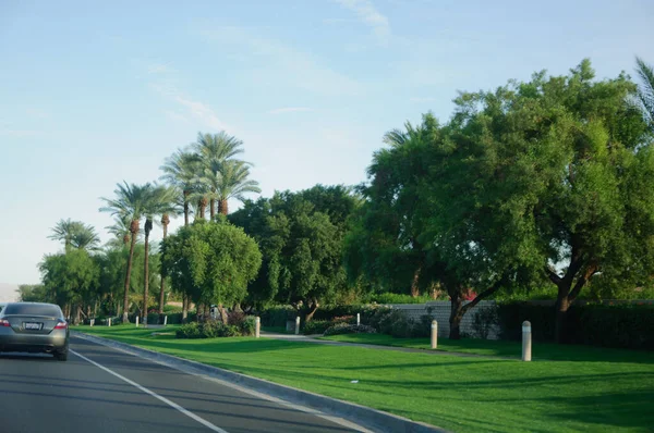 Rader av palmer, berg, blommor, blå himmel och öppna vägar, Kalifornien Palm Springs. — Stockfoto