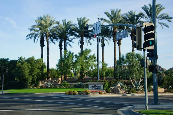 Rijen palmbomen, bergen, bloemen, blauwe luchten en open wegen, Californië Palm Springs. — Stockfoto