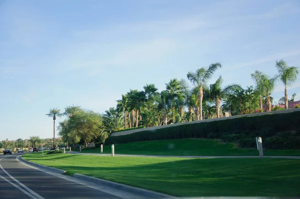 Rader av palmer, berg, blommor, blå himmel och öppna vägar, Kalifornien Palm Springs. — Stockfoto