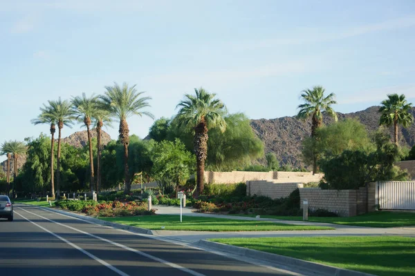 Filas de palmeras, montañas, flores, cielos azules y caminos abiertos, California Palm Springs . — Foto de Stock