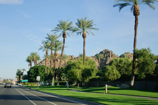 一排排棕榈树、群山、鲜花、蓝天和开阔的道路，加利福尼亚棕榈泉. 免版税图库照片