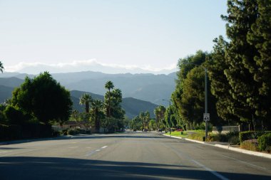 Palmiye ağaçları, dağlar, çiçekler, mavi gökyüzü ve açık yollar, California Palm Springs.