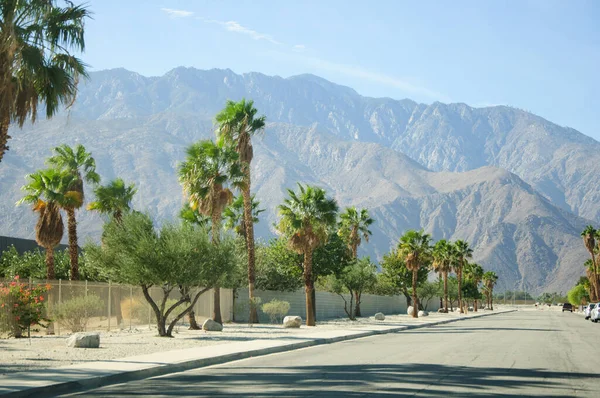 Řady palem, hory, květiny, modrá obloha a otevřené cesty, California Palm Springs. — Stock fotografie