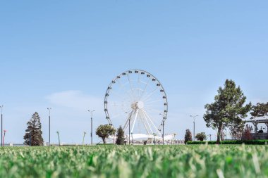 Çimen ve ağaçlarla beyaz dönme dolap cazibesi