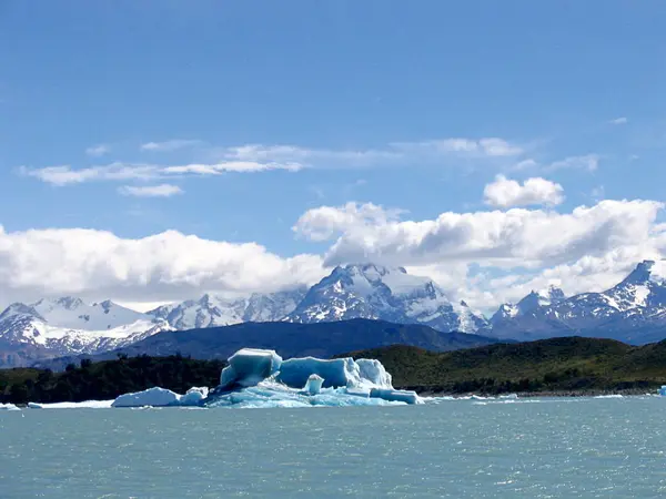 Piece Ice Detached Glacier Patagonia — Stock Photo, Image