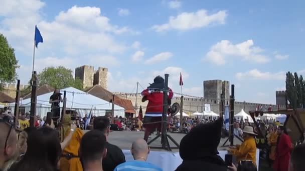 Smederevo Serbien Maj 2019 Fight Vid Slaget Nationerna Fighting Knights — Stockvideo