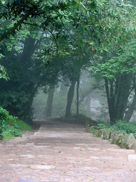 Jardín de Sintra cerca del famoso palacio de Peña en Sintra, Portugal — Foto de Stock