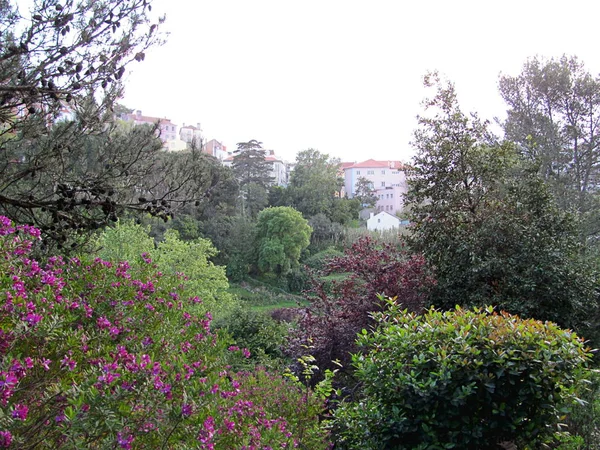 Sintra şehrinin tarihi mimari mirası — Stok fotoğraf