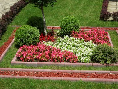 Sırbistan 'ın Despotovac kentindeki Ortodoks Manastırındaki Güzel Arka Bahçe