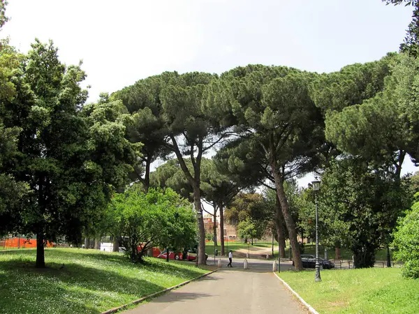 ローマ イタリア 2013年5月4日 ローマのコロシアムの前の公園 — ストック写真